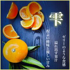 有田産　清見オレンジ　4キロ　Ｌサイズ　有田みかん　和歌山みかんのサムネイル