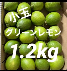 【期間限定！】訳あり　小玉グリーンレモン　1.1kg前後