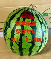 【産地直送・訳あり・即日発送可】熊本県産大玉スイカ　祭ばやし３Ｌ（８～９ｋｇ）訳あり　優品