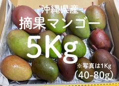 〈タイムSALE〉沖縄産 摘果マンゴー40以上 【5Kg(箱込み)】  Gurīnmangō