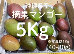摘果マンゴー5.5kg 2025年最新】摘果マンゴー 5kgの人気アイテム - メルカリ