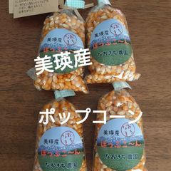 美瑛産・はじける！香ばしいポップコーン【100g×4】