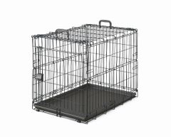 Item thumbnail for item 8b9a8387-e2f7-4ba0-806f-07bf62f266ec