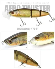 2025年最新】デプス エアロツイスターの人気アイテム - メルカリ