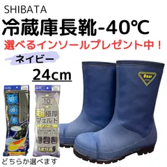 2025年最新】シバタ工業の人気アイテム - メルカリ