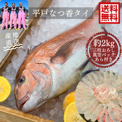 青空レストラン フルーツ魚 送料無料　平戸なつ香タイ 約2kg（真空パック・あら付き）