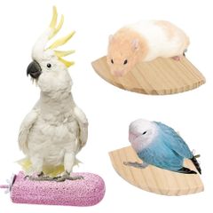 SALUDABLE 爪とぎ ステップ とまり木 スタンド インコ ハムスター 小鳥 モモンガ セット (ピンク)