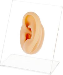 Item thumbnail for item cc533d78-98c0-4ac7-972d-314b30768f7f