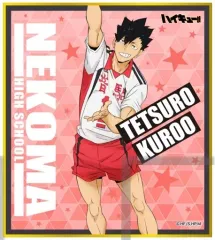 【中古】紙製品 黒尾鉄朗 「ハイキュー!! TO THE TOP ミニ色紙コレクション」