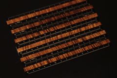 Item thumbnail for item 5013a4b5-b76d-4c85-a2f5-448964868d3d