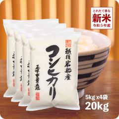【200円OFFクーポン配布中】新米 岩船産コシヒカリ20kg  お米 令和5年産 白米