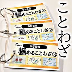 中学受験　国語　ことわざ　暗記カード　言葉ナビ　サピックス　予習シリーズ