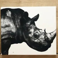 1992 非売品 CD Mr.Children 抱きしめたい ミスターチルドレン 1992 非売品 CD Mr.Children 抱きしめたい ミスターチルドレン