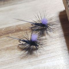 ■ELK■　ブラッキー　パラシュート　7本　完成品フライ　フライフィッシング　ドライフライ