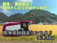新生活🌷応援セール 玄米✨令和7年熊本県産 阿蘇産【コシヒカリ】4kg ( 簡易包装)