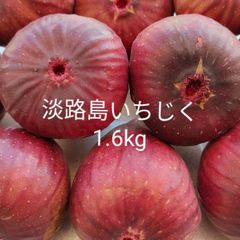 淡路島産 高田さんの無花果4パック(約1.6kg) いちじくイチジクたまねぎ玉葱