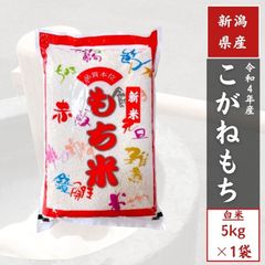 【令和４年産】 新潟県 もち米 白米5kg（5kg1袋） 3.3升 単一原料