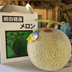 北海道富良野メロン 赤肉2玉 有機肥料 訳あり - メルカリ