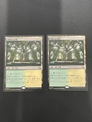【MTG・土地】草萌ゆる玄関　２枚セット(日本語)