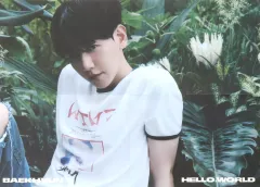 【中古】ポスター 折り畳みポスター(四つ折)/A ベッキョン(EXO) 「CD Hello. World (World ver.)」 封入特典