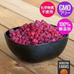 冷凍 ザクロ 種 トルコ産 化学物質不使用 (1kg)