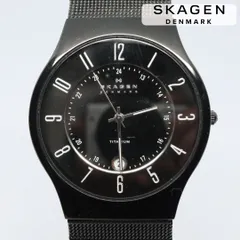 2024年最新】SKAGEN チタンの人気アイテム - メルカリ