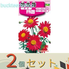 【園芸・農業用品】※２個セット※カネコ種苗　タネ　除虫菊　赤花