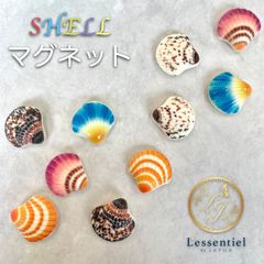 【 海 シェル型 マグネット】10個 磁石 ビーチ 貝 バラエティ 可愛い 冷蔵庫 玄関 ボード 会議 子供 付箋 メニュー しおり ママ プラスチック