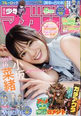 秋山莉奈 K21 秋山莉奈写真集 - メルカリ