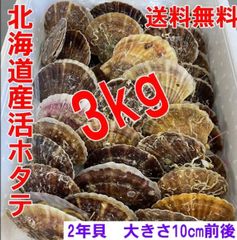 北海道産 活ホタテ 生食 殻つきホタテ バーベキュー 3kg 20-25枚前後