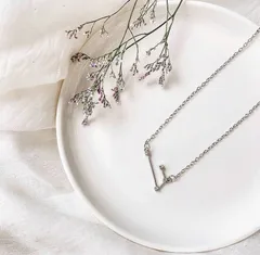 [シルバー] おひつじ座～おとめ座 星座ネックレス 星座チャーム 12星座