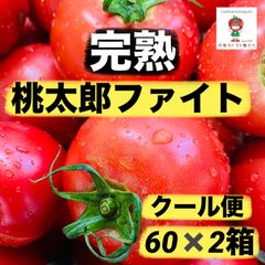 甘くてやみつきになるトマト❣️桃太郎ファイト❣️60サイズ✖️２箱❣️プレゼントやシェア様に人気❣️