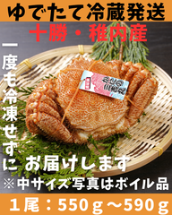ゆでたて冷蔵便ボイル毛ガニ　1尾　550ｇ～590ｇ活時計量