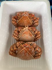 ボイル冷凍毛ガニ　4kg13尾サイズ　値下げしました。