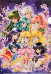 [Used] Clear File - 10 Sailor Guardians Clear File - "Pretty Guardian Sailor Moon Exhibition"