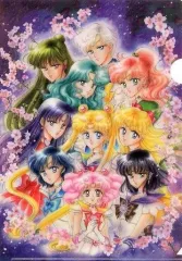 【中古】クリアファイル 10戦士 クリアファイル 「美少女戦士セーラームーン展」