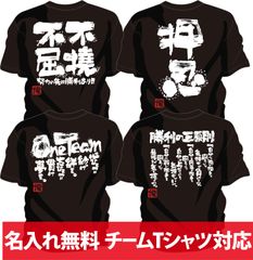 ソフトボール練習着 ソフトボールtシャツ チーム 部活 ジュニア