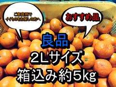 良品　箱込み約5kg ２Ｌサイズ