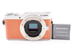 ☆良品☆パナソニック Panasonic LUMIX DC-GF9 ボディ ☆ LL1175#1054 