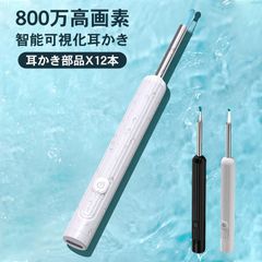 Item thumbnail for item 49152498-bc1f-4f74-832d-d439b3a6b224