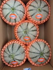 産地直送！赤肉マルセイユ❗️甘くて美味しい❗️5玉北海道東北各県沖縄発送不可