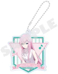 【中古】キーホルダー 巡音ルカ アクリルキーホルダー vol.13 「プロジェクトセカイ カラフルステージ!」