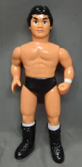 プロレスフィギュア 藤波辰爾＋山崎一夫 1998 未開封 プロレスフィギュア 藤波辰爾＋山崎一夫 1998 未開封 2025年最新
