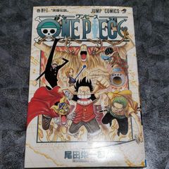 ONE PIECE 43