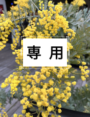 uma様専用