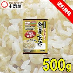 玄米 発芽玄米 熊本県産コシヒカリ 特別栽培米 500g 送料無料
