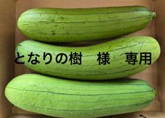 となりの樹様　専用ページ