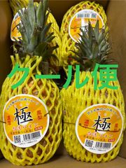 台湾パイン 4本 箱込4.5キロ程度 台湾産