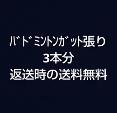 2024年最新】バドミントンラケット3本分 ヨネックス yonexの人気