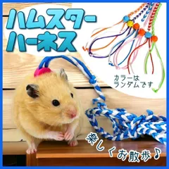 ハムスター ハーネス リード 小動物 フェレット うさぎ ミニウサギ リス モルモット マウス チンチラ ペット ロープ 編み込み 編み かわいい カラフル おしゃれ 動物 散歩 お出かけ 外出 外 調整可能のサムネイル